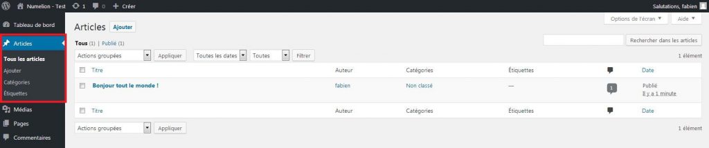 Accéder aux articles dans WordPress