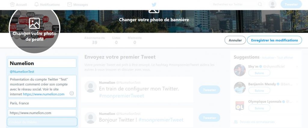 Biographie dans Twitter