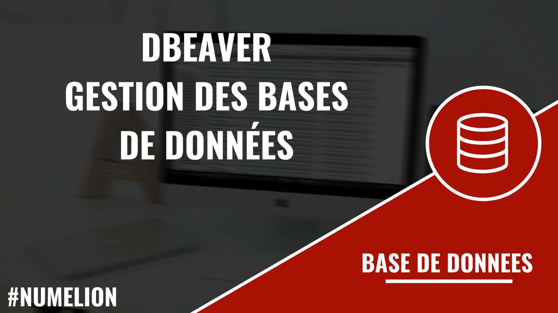 DBeaver - Gestion de bases de données