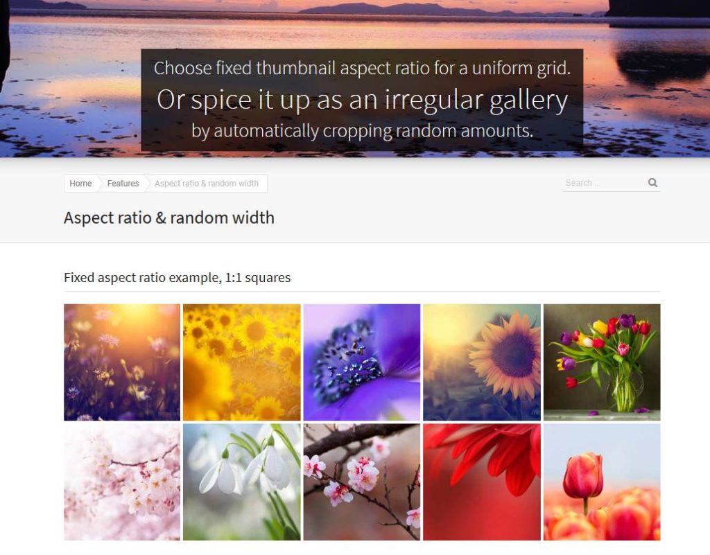 Justified image grid parmi les meilleurs plugin de galleries d'images