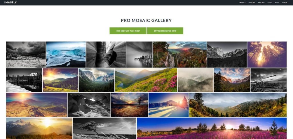 NextGEN Gallery plugin gratuit pour créer des galeries images WordPress