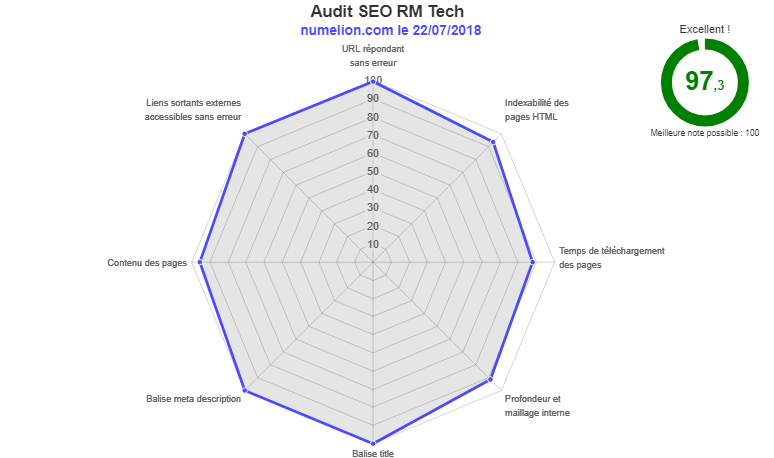 Résultat de l'audit SEO Numelion