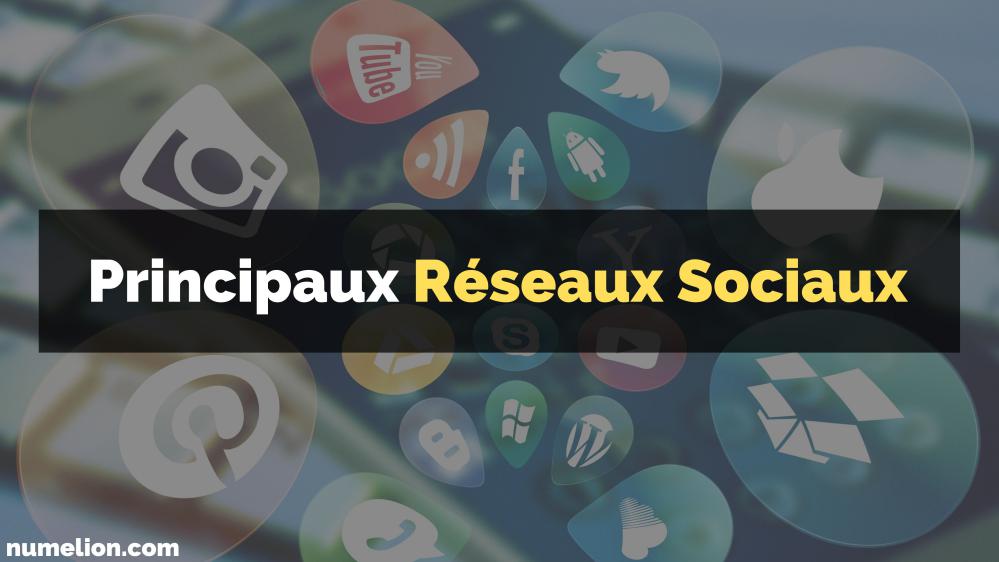 Article sur les principaux réseaux sociaux dans le monde