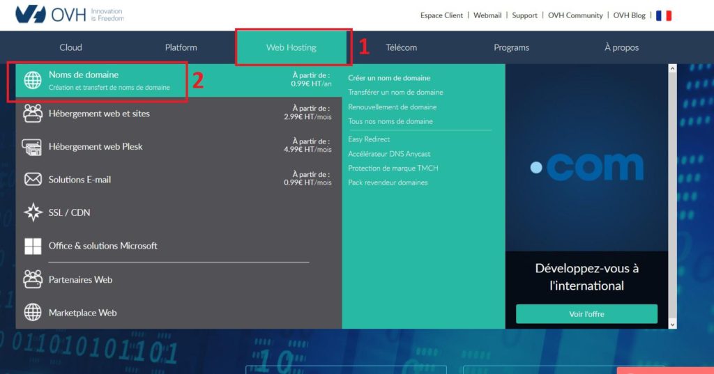 OVH accès nom de domaine