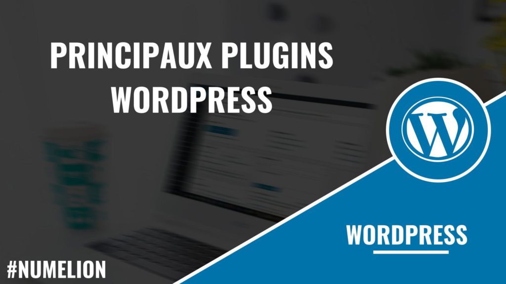 Principaux plugins WordPress Principaux plugins WordPress