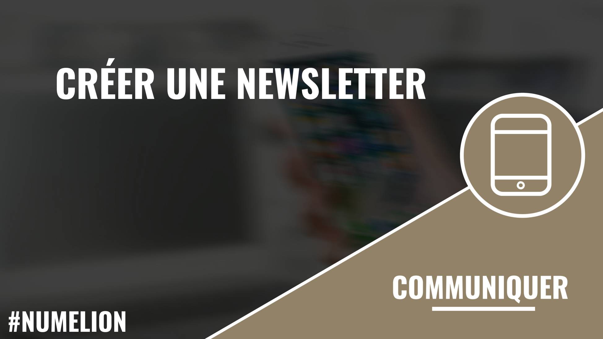 Créer une newsletter