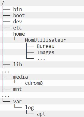 Arborescence des principaux dossiers Linux