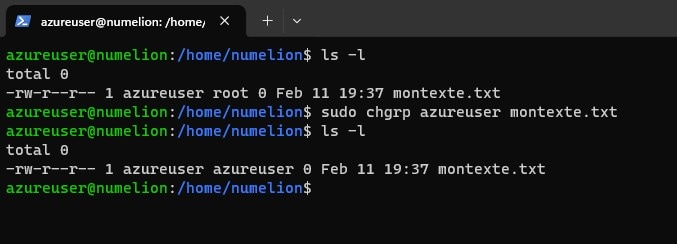 Commande chrgp dans LInux pour modifier le groupe propriétaire d'un fichier