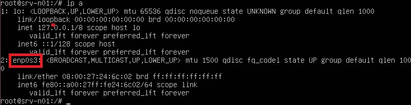 Adresse IP du serveur Linux