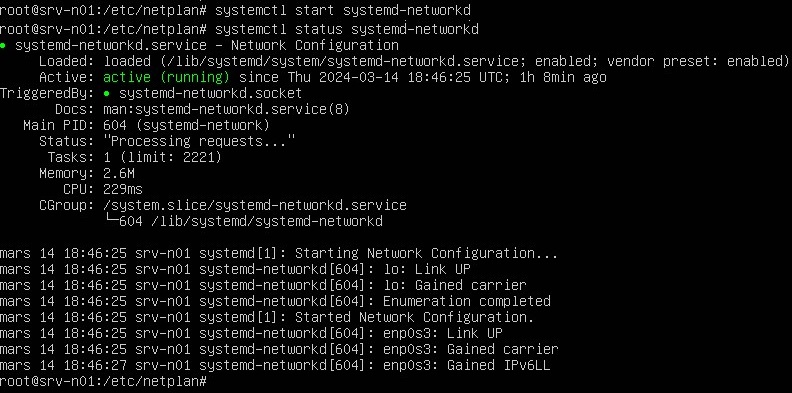 Relancer le réseau Linux d'un serveur Ubuntu