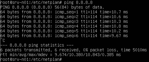 Vérifier la configuration IP du serveur avec un ping vers internet